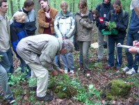 was wir im Wald alles gefunden haben...