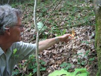 Werner fackelt eine Orchidee ab